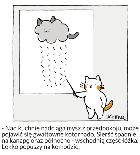 25073402 1615919715163411 7286024407238532703 o