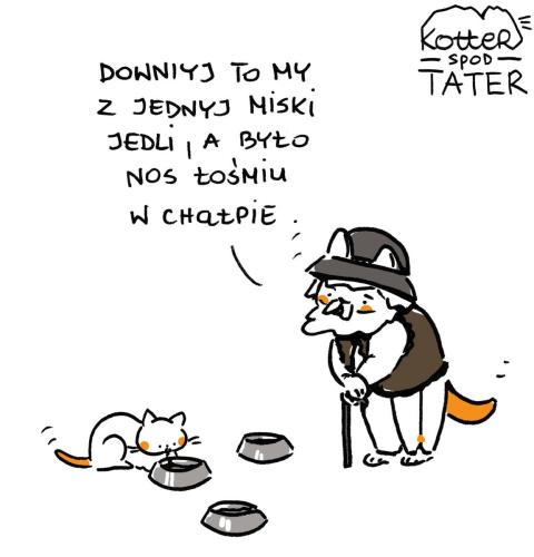 26220965 1643300885758627 9191920221568524900 o-1