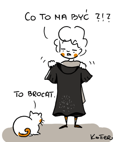 49117468 2103321279756583 5284578604821250048 n