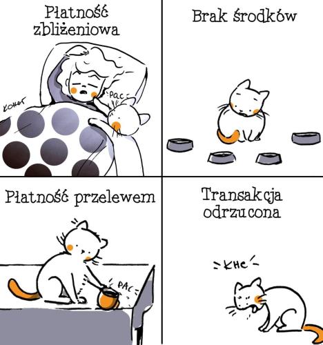 61538846 2347472998674742 6618082902741614592 n