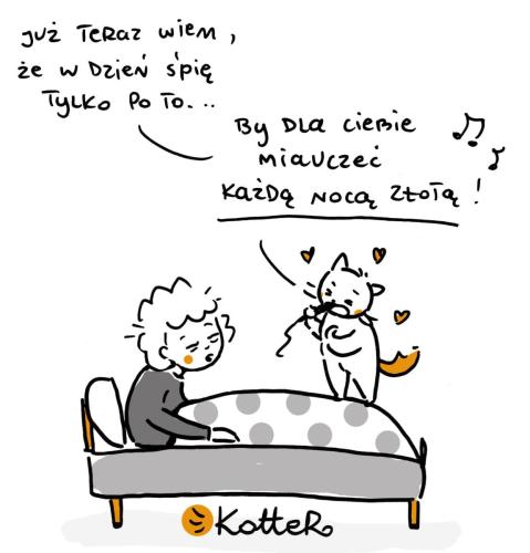 86264183 2854128114675892 5263755254750511104 n