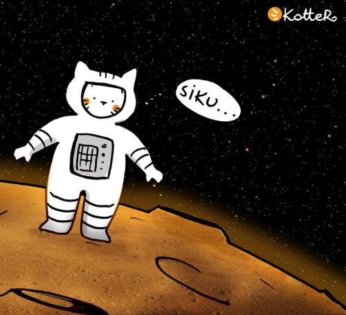 92240035 2959562540799115 8546142293701165056 n