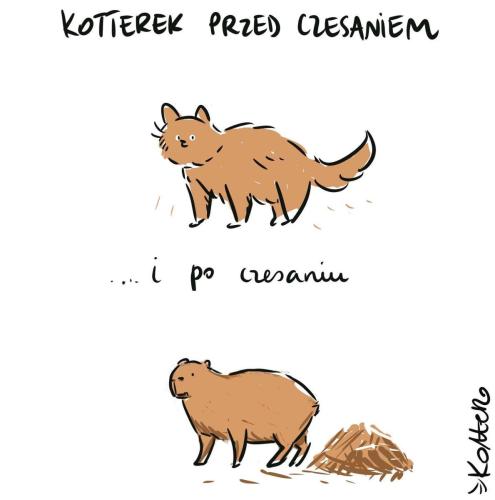 nr2