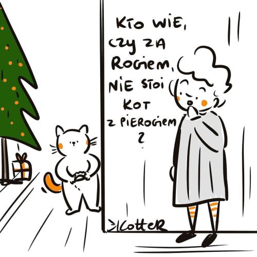 nr6